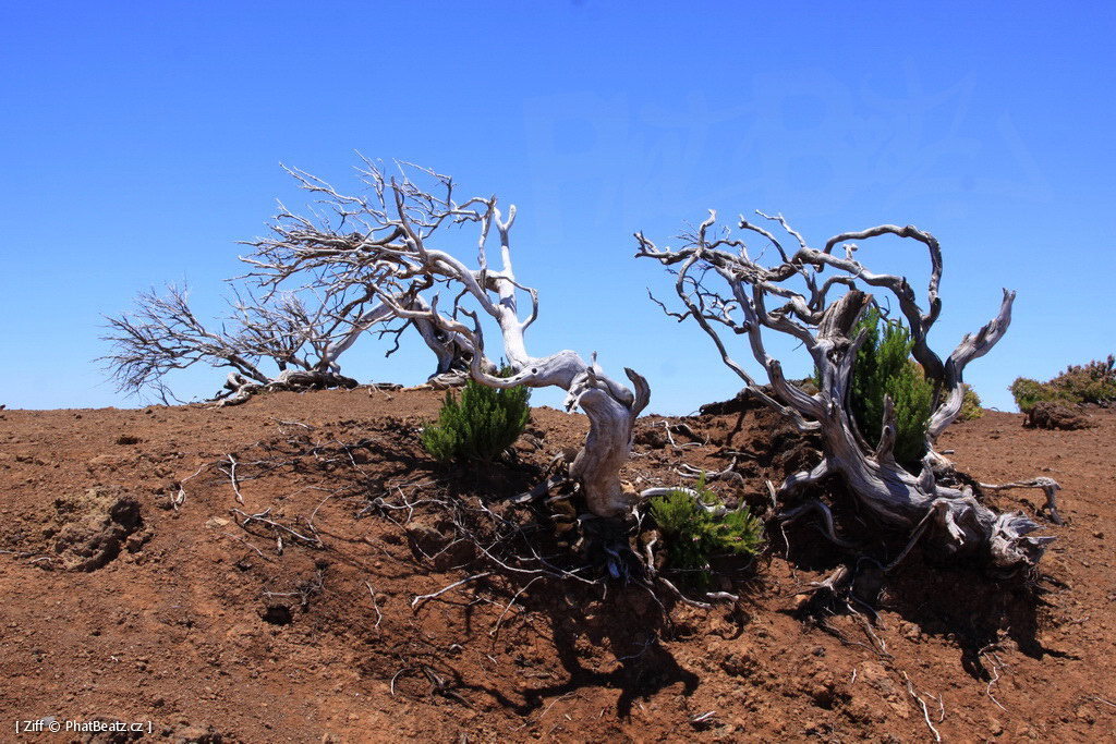 1407_Madeira_050