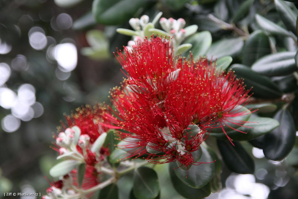 1407_Madeira_059
