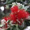 1407_Madeira_059