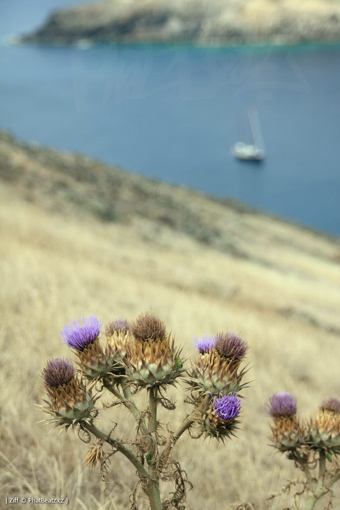 1407_Madeira_080