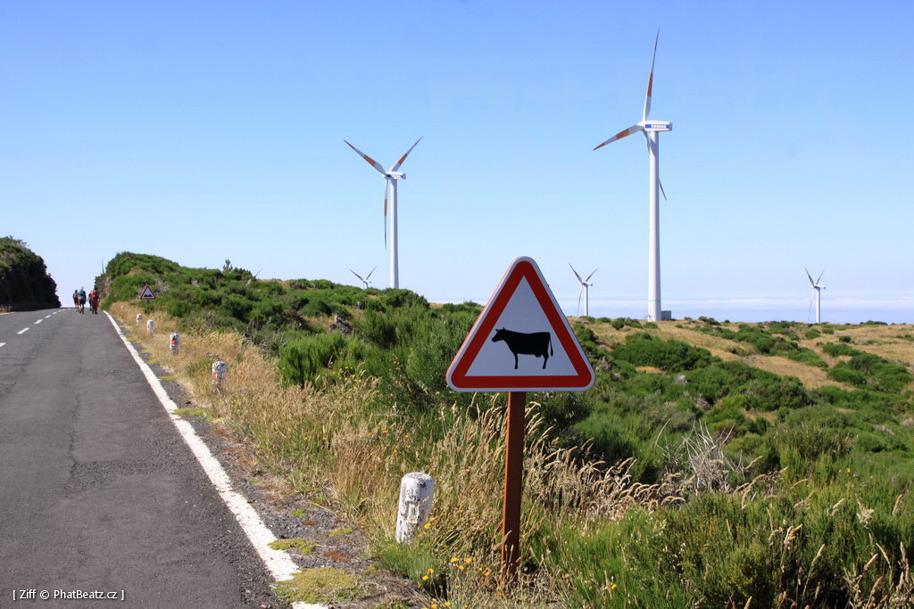1407_Madeira_096