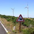 1407_Madeira_096