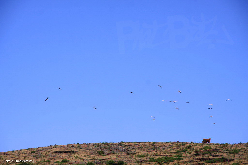 1407_Madeira_098