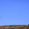 1407_Madeira_098