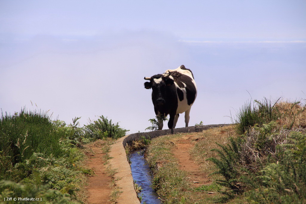 1407_Madeira_103