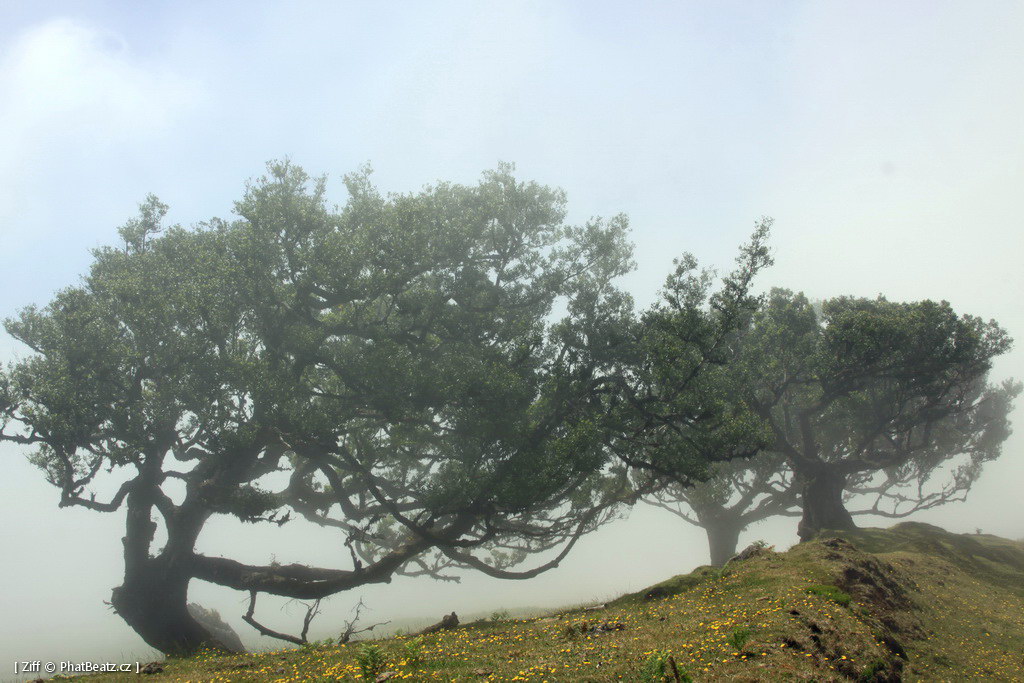 1407_Madeira_104