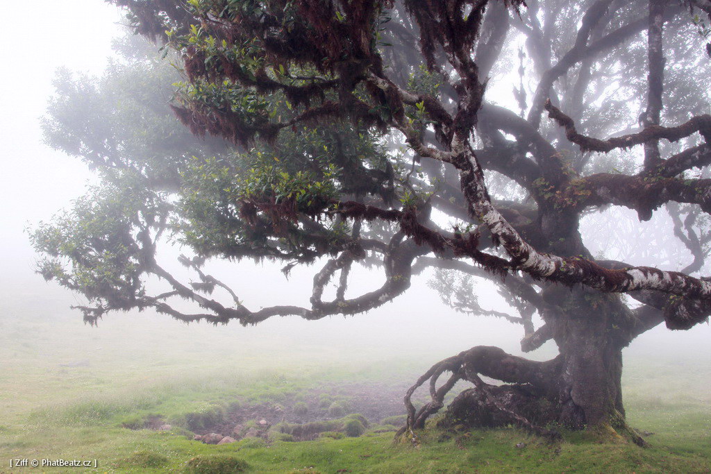 1407_Madeira_105