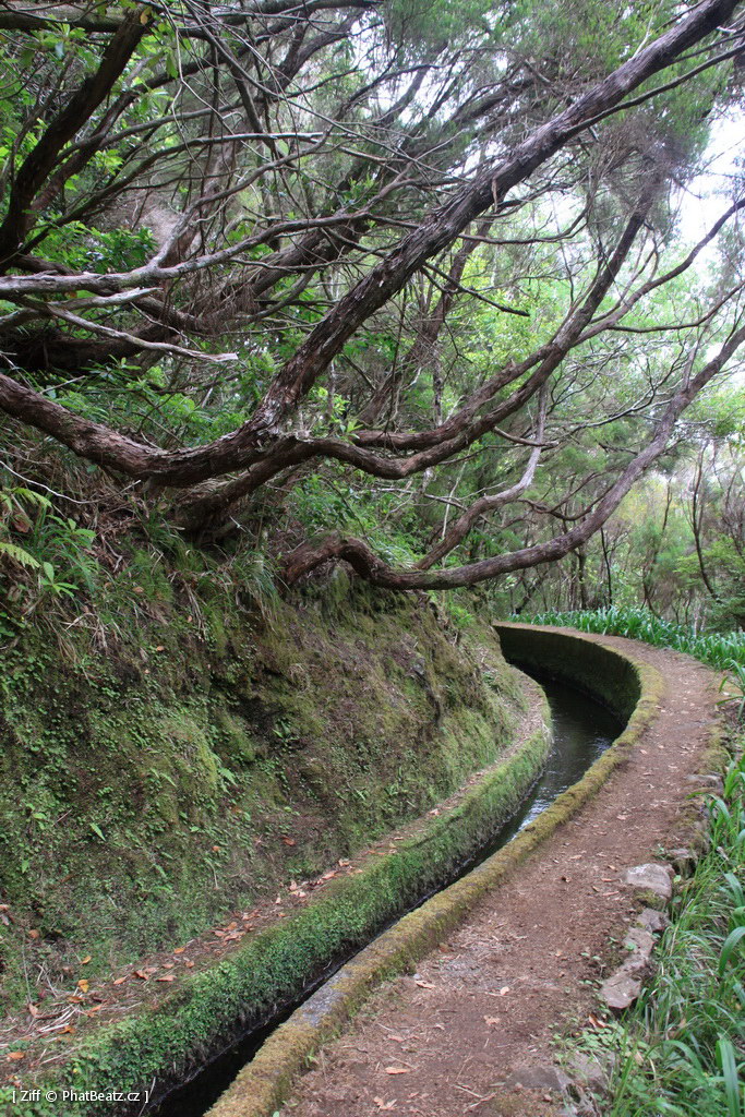 1407_Madeira_116