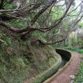 1407_Madeira_116