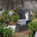 1407_Madeira_125