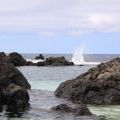 1407_Madeira_129