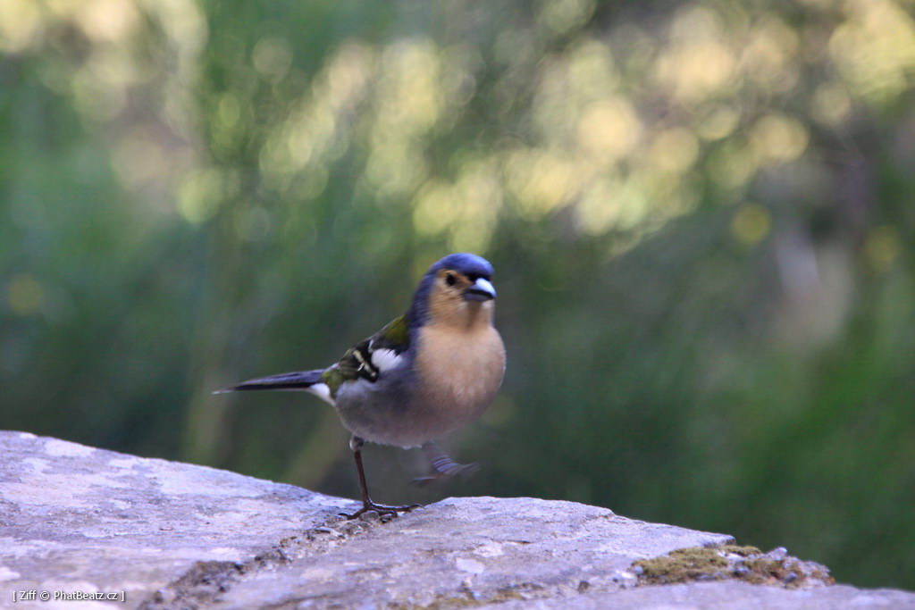 1407_Madeira_135