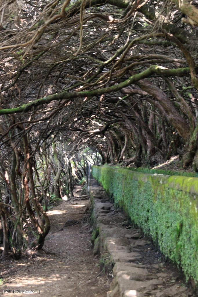 1407_Madeira_137