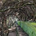 1407_Madeira_137