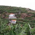 1407_Madeira_160