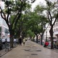 1407_Madeira_168