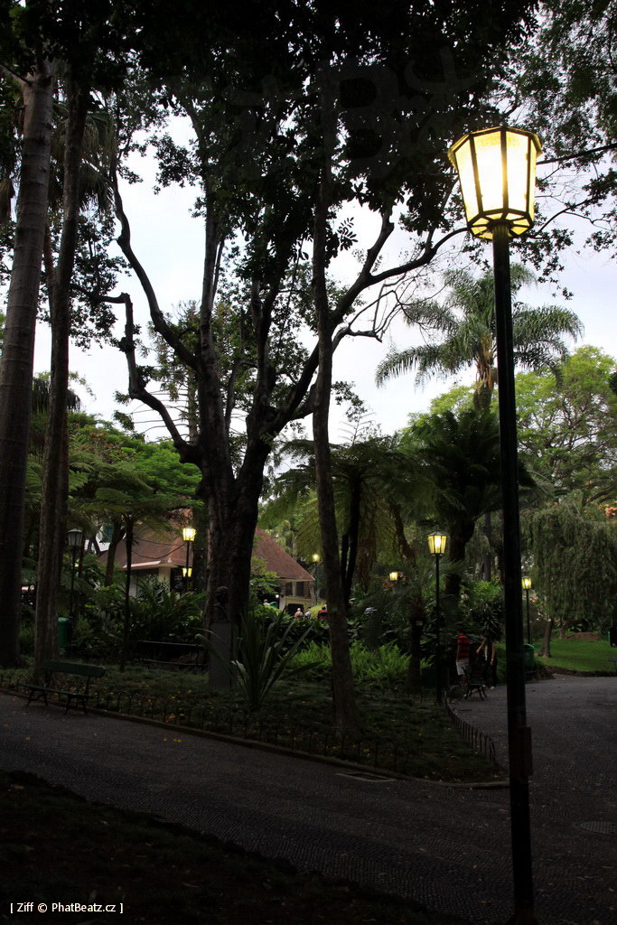 1407_Madeira_175