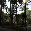 1407_Madeira_175