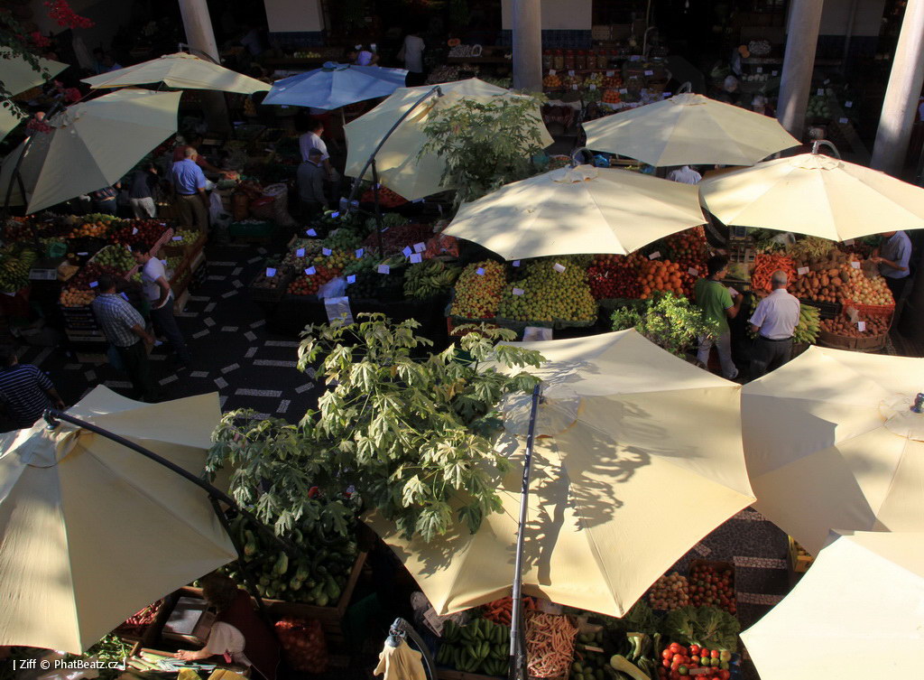 1407_Madeira_178