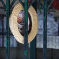 1407_Madeira_183