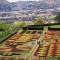 1407_Madeira_188