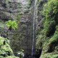 1407_Madeira_198