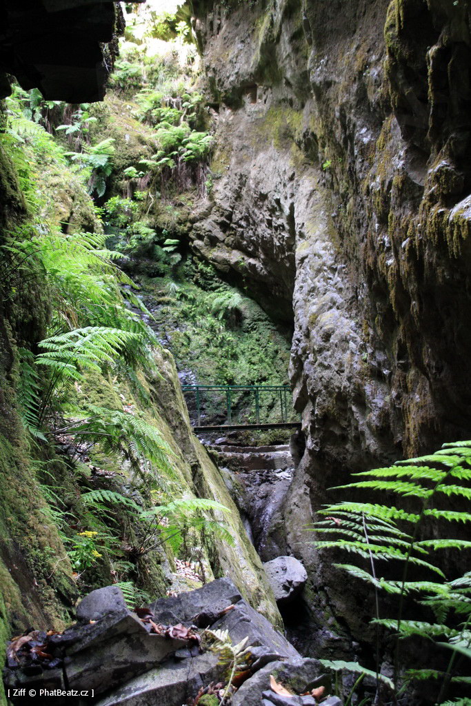 1407_Madeira_201