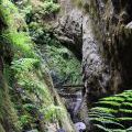 1407_Madeira_201