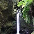 1407_Madeira_202