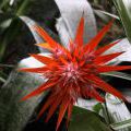 1407_Madeira_208