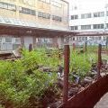 140812_Landscape_16