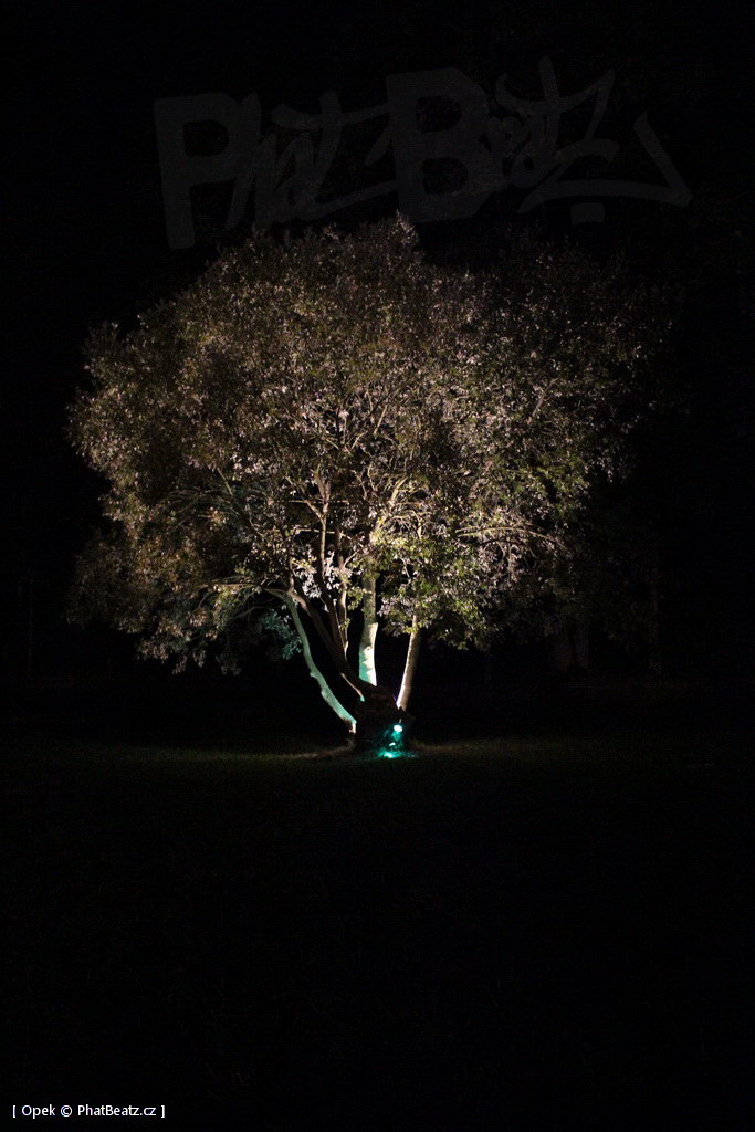 140814_Wonderland2014_10
