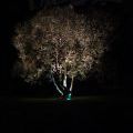 140814_Wonderland2014_10