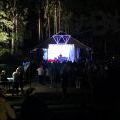 140814_Wonderland2014_19