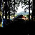 140814_Wonderland2014_39