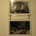 140905_Artmossphere2014_22