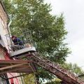 1409_Artmospehere2014_POINT_05