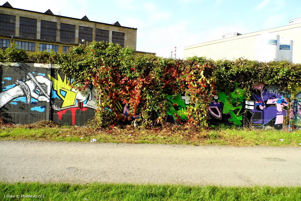 141104_Krenka_50