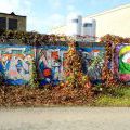 141104_Krenka_51