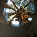 141205_8PLBPRDLKSM_008