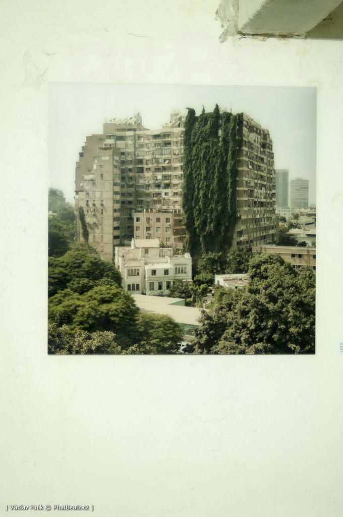 141205_8PLBPRDLKSM_017