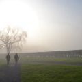 150121-25_Irsko_017