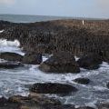 150121-25_Irsko_065