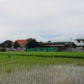 1501_Bali_07