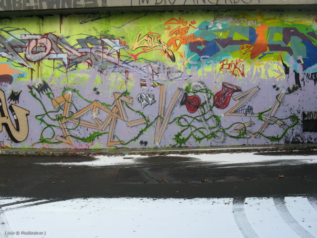150208_Tesnov_20