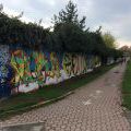 150417_OlomoucZenit_06
