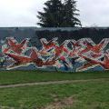 150417_OlomoucZenit_31