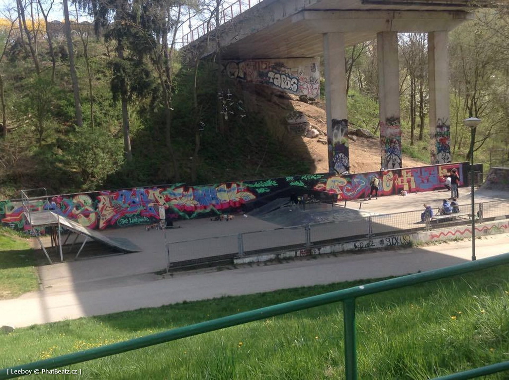 150425_TrebicSK8_01