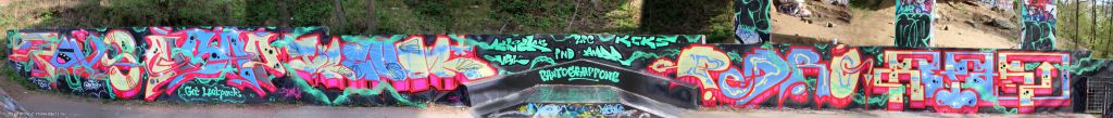 150425_TrebicSK8_09