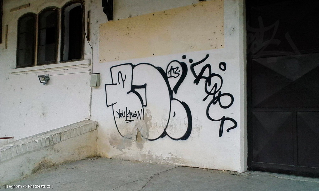 1506_Brno_trat_27